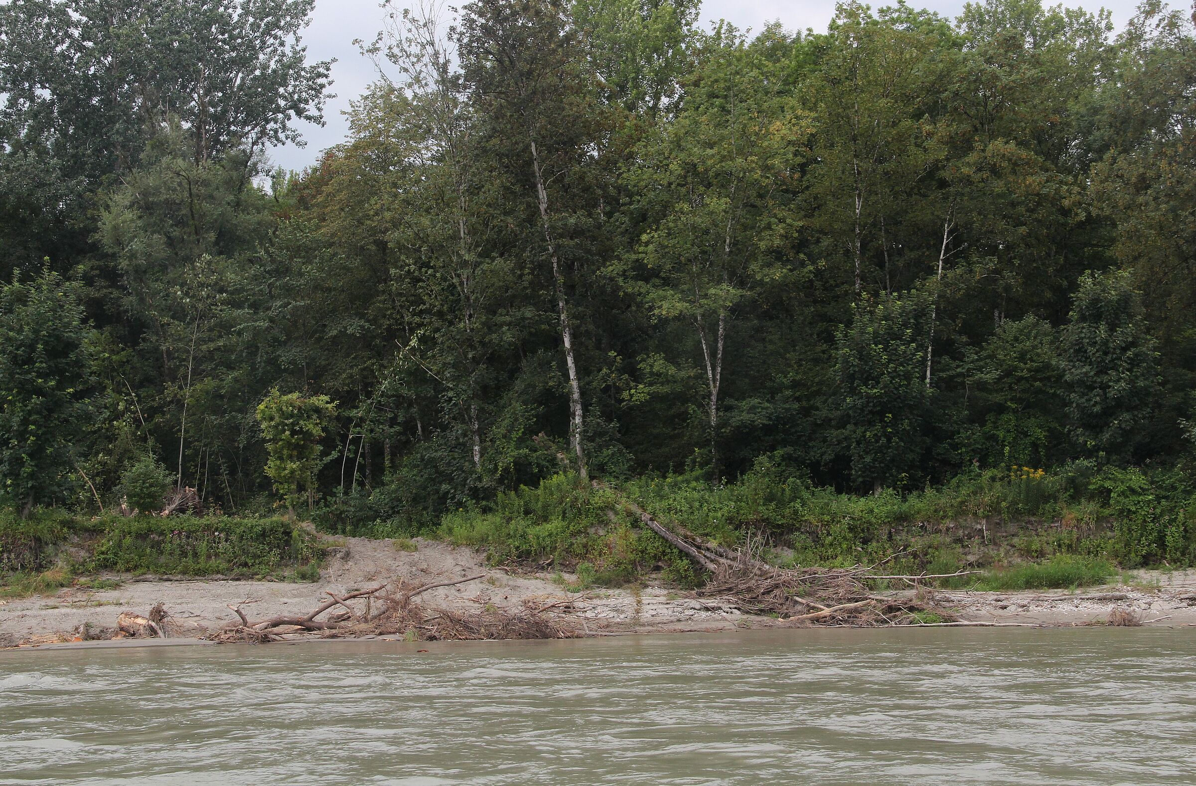 Foto: BN Rutkowski Freie Ufer an der Salzach