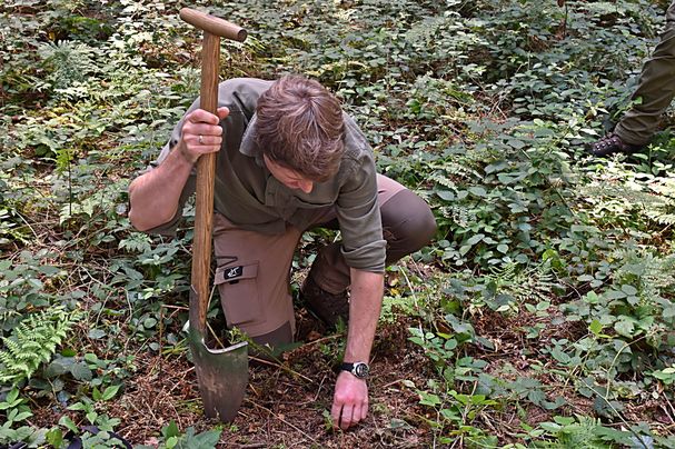 Foto: C. Rutkowski - Der Förster entnimmt eine Bodenprobe Mann entnimmt Bodenprobe im Wald mit Spaten