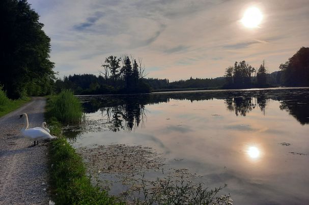 Foto: M. Hohenleitner - Bansee in Seeon Der Bansee in Seeon