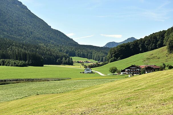 Foto: C. Rutkowski Artenreiche Wiese